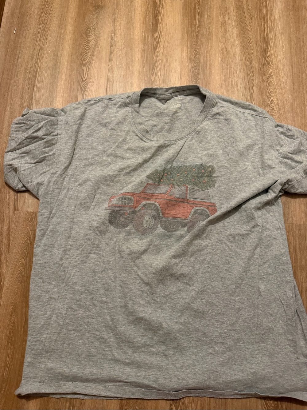 American Eagle Outfitters Gray Tee with Red Truck and Green Tree Graphic